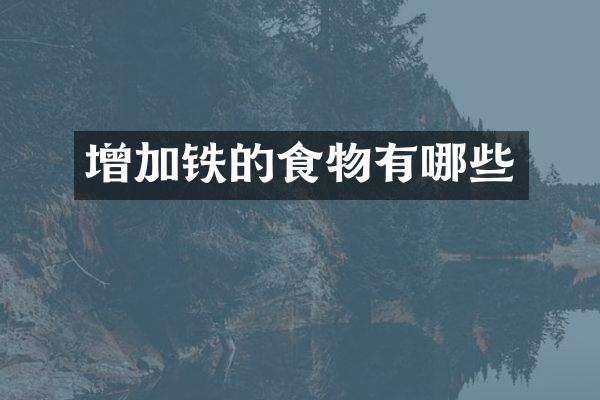增加铁的食物有哪些