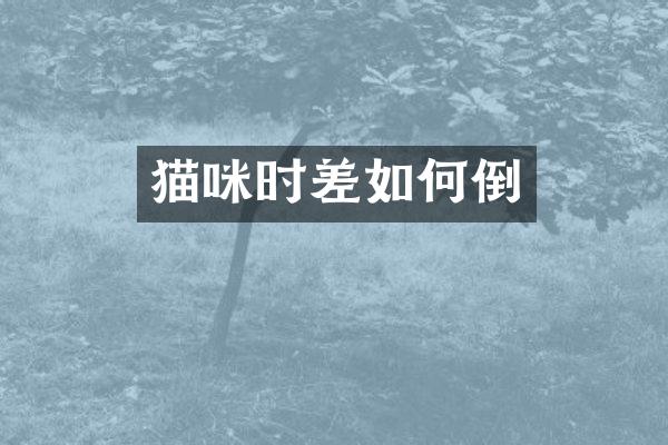 猫咪时差如何倒