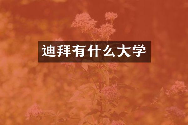 迪拜有什么大学