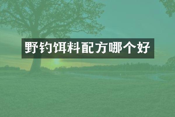 野钓饵料配方哪个好