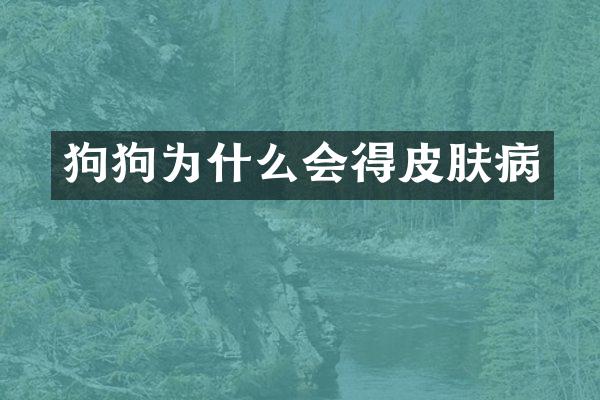 狗狗为什么会得皮肤病