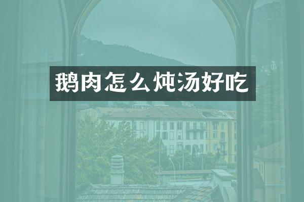 鹅肉怎么炖汤好吃