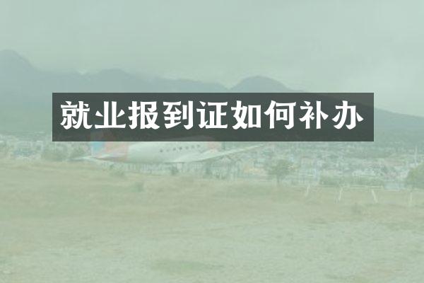 就业报到证如何补办