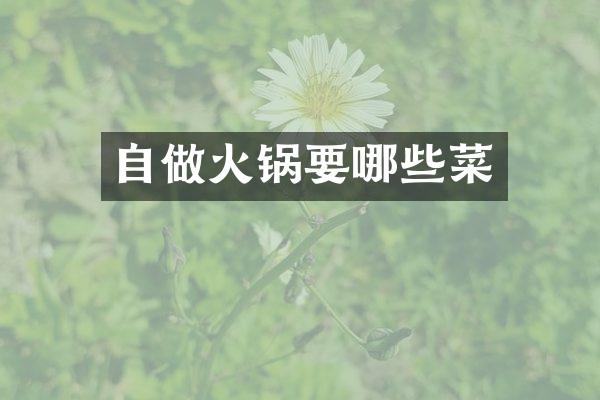 自做火锅要哪些菜