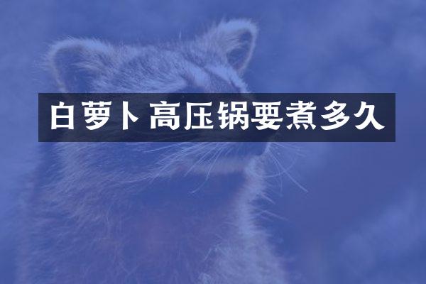 白萝卜高压锅要煮多久