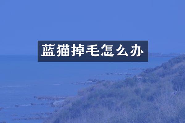 蓝猫掉毛怎么办