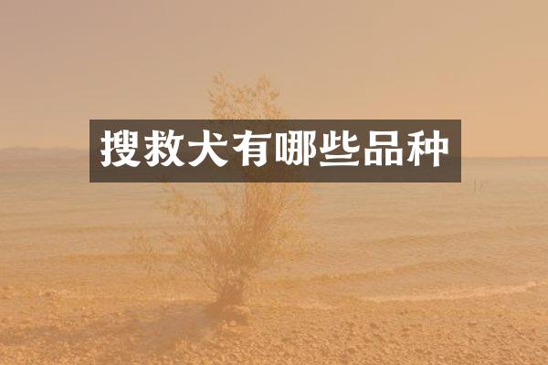 搜救犬有哪些品种