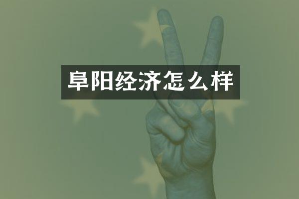 阜阳经济怎么样