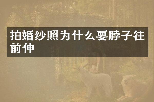 拍婚纱照为什么要脖子往前伸