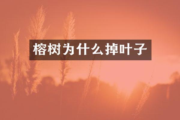 榕树为什么掉叶子