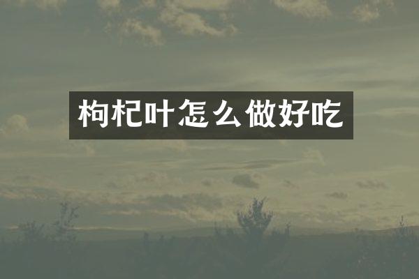 枸杞叶怎么做好吃