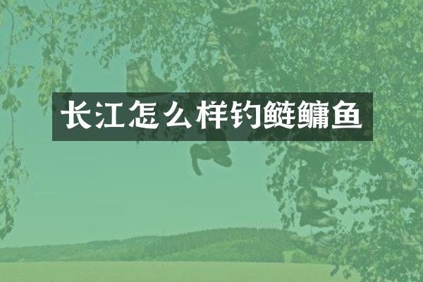 长江怎么样钓鲢鳙鱼