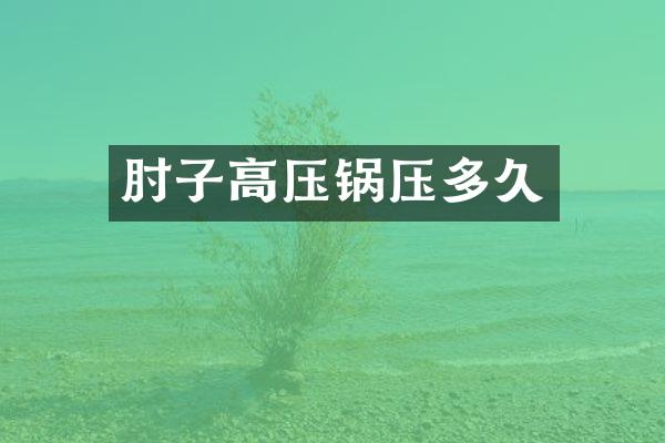 肘子高压锅压多久