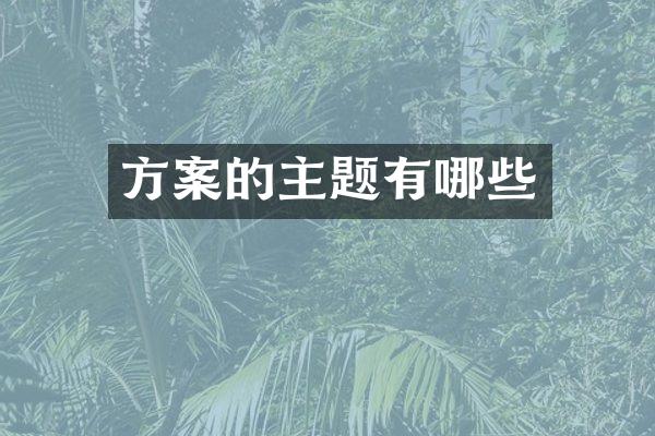 方案的主题有哪些
