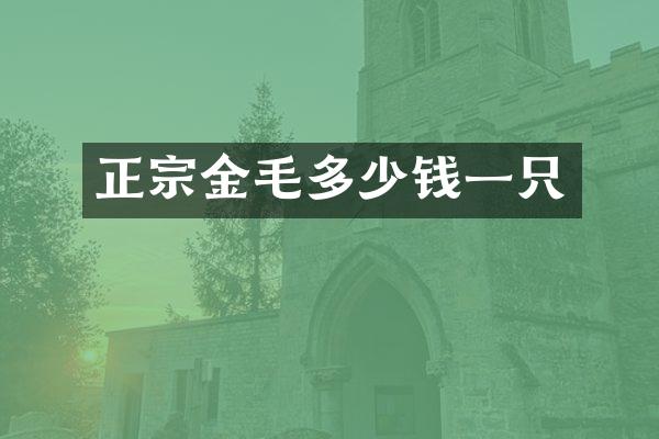正宗金毛多少钱一只