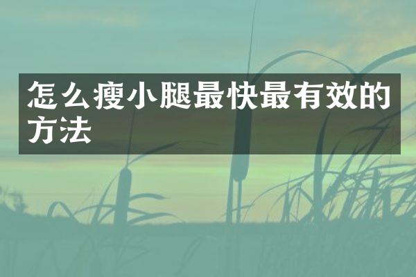怎么瘦小腿最快最有效的方法