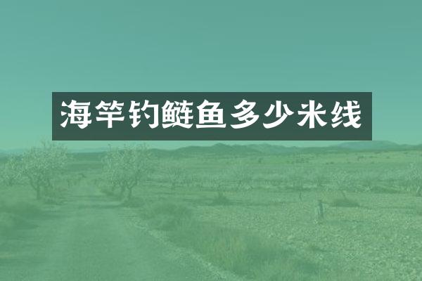海竿钓鲢鱼多少米线