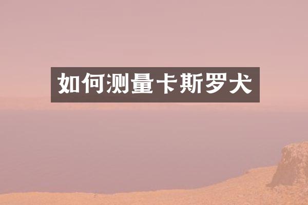 如何测量卡斯罗犬