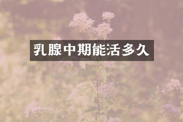 乳腺中期能活多久