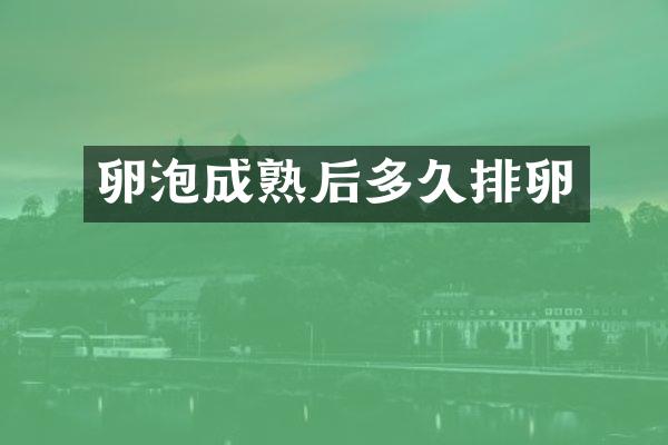 卵泡成熟后多久排卵