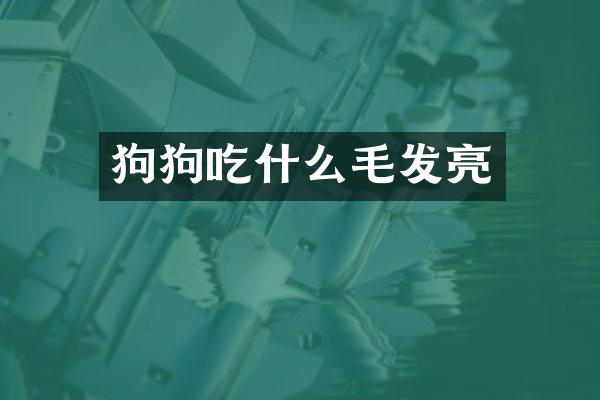 狗狗吃什么毛发亮