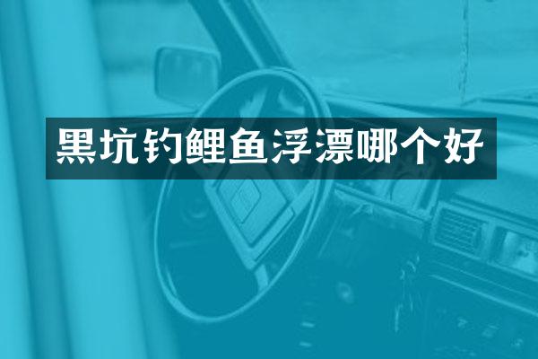 黑坑钓鲤鱼浮漂哪个好