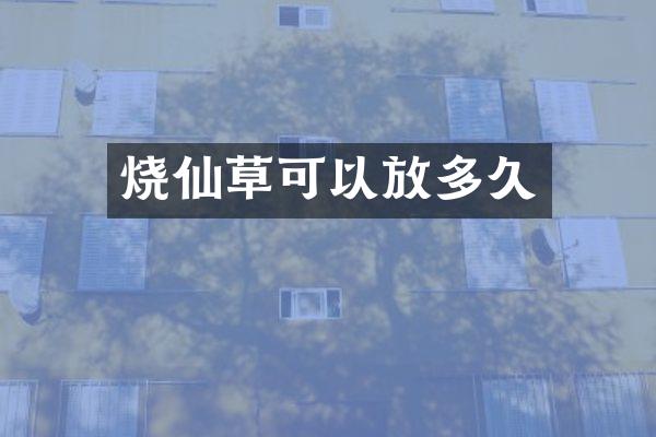 烧仙草可以放多久