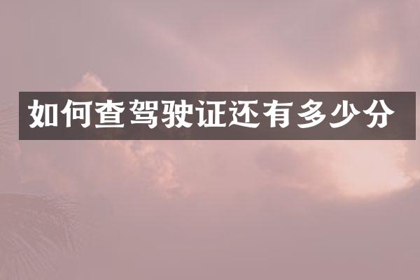 如何查驾驶证还有多少分