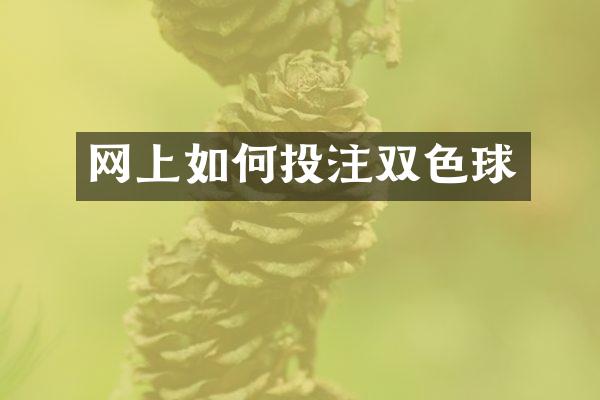 网上如何投注双色球