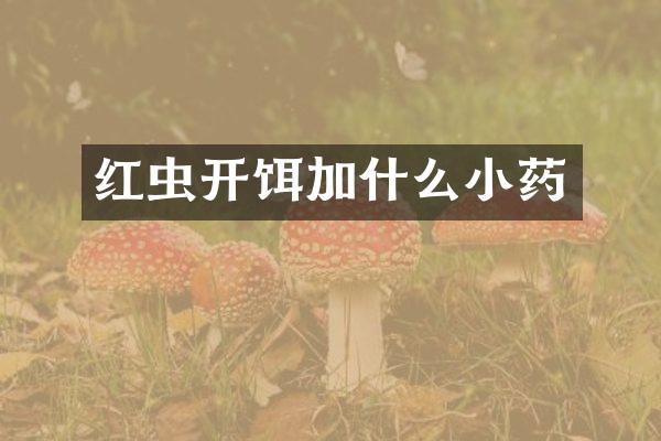 红虫开饵加什么小药
