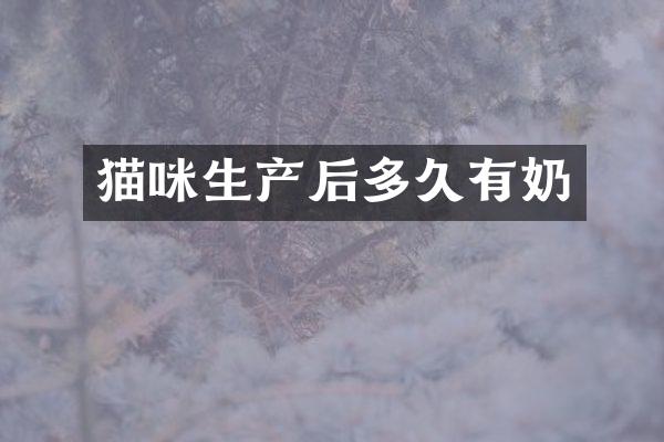 猫咪生产后多久有奶