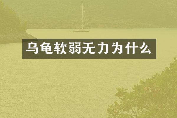 乌龟软弱无力为什么