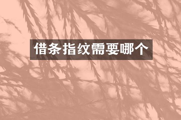 借条指纹需要哪个