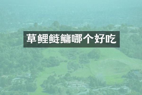 草鲤鲢鳙哪个好吃