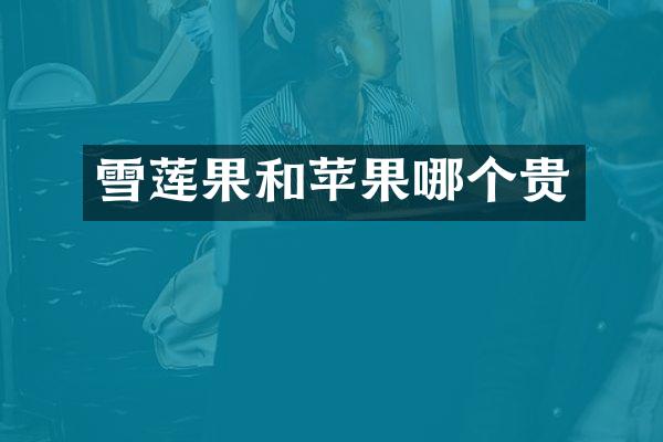 雪莲果和苹果哪个贵