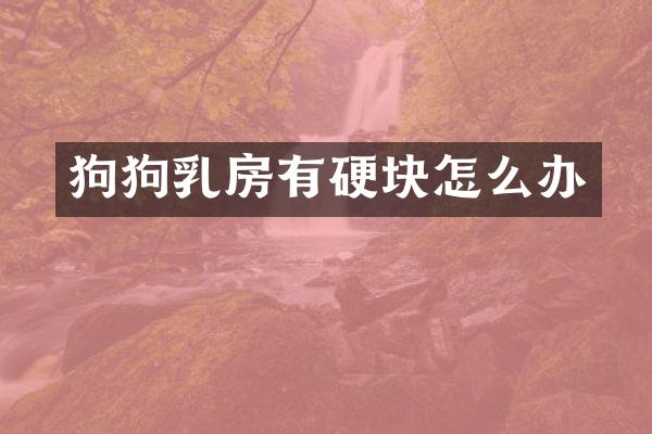 狗狗有硬块怎么办