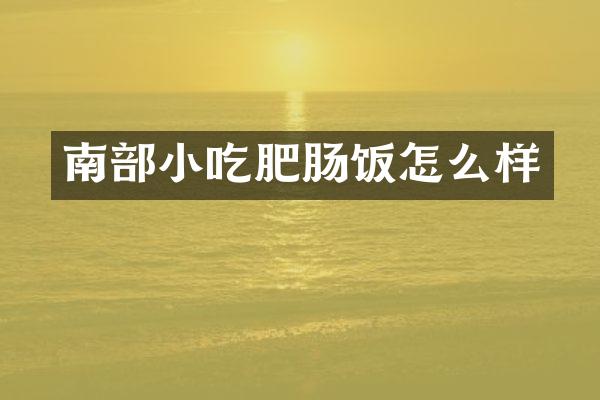 南部小吃肥肠饭怎么样