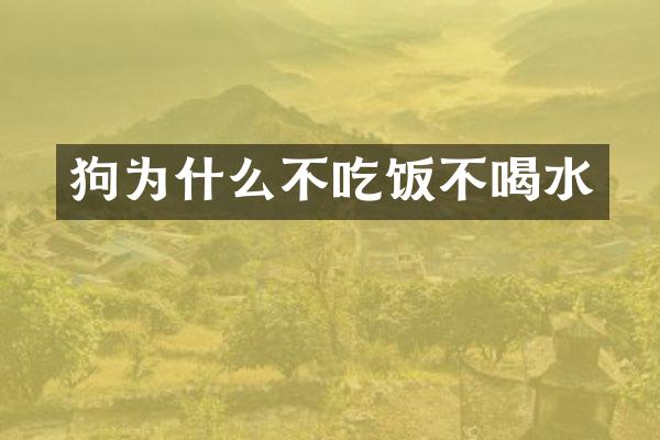 狗为什么不吃饭不喝水