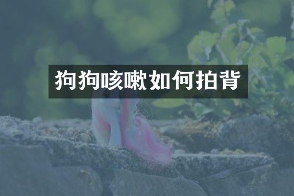 狗狗咳嗽如何拍背