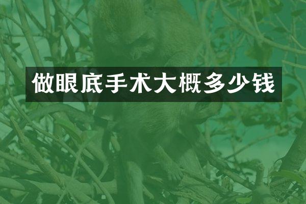 做眼底手术大概多少钱