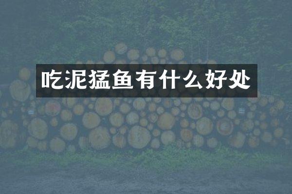 吃泥猛鱼有什么好处