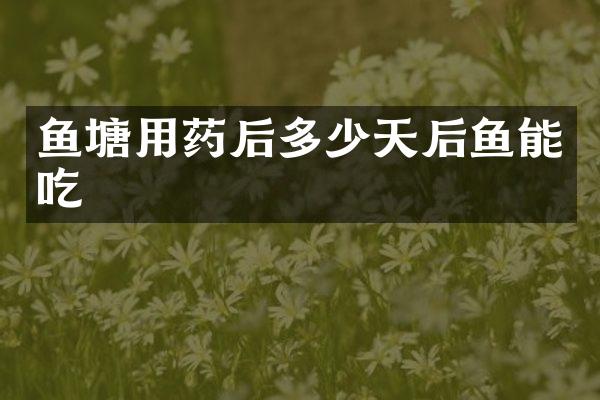 鱼塘用药后多少天后鱼能吃