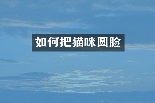 如何把猫咪圆脸