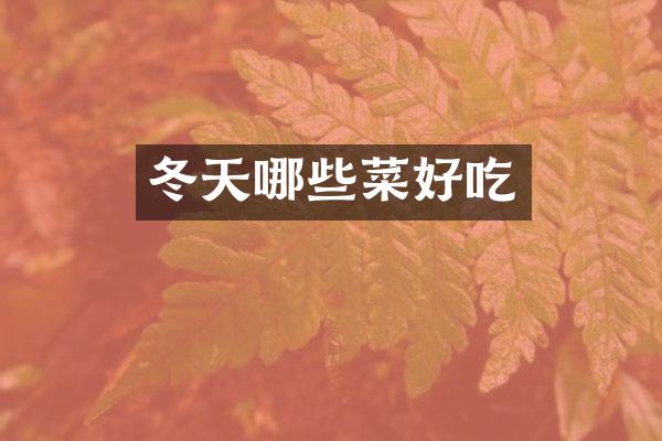 冬天哪些菜好吃