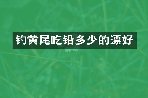 钓黄尾吃铅多少的漂好