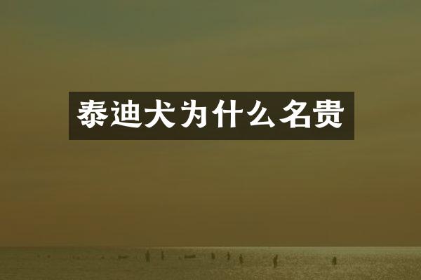 泰迪犬为什么名贵