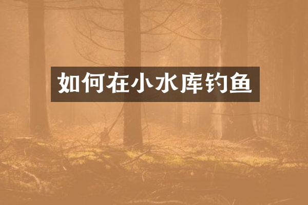 如何在小水库钓鱼