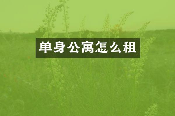 单身公寓怎么租