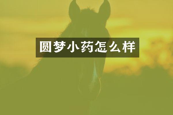 圆梦小药怎么样