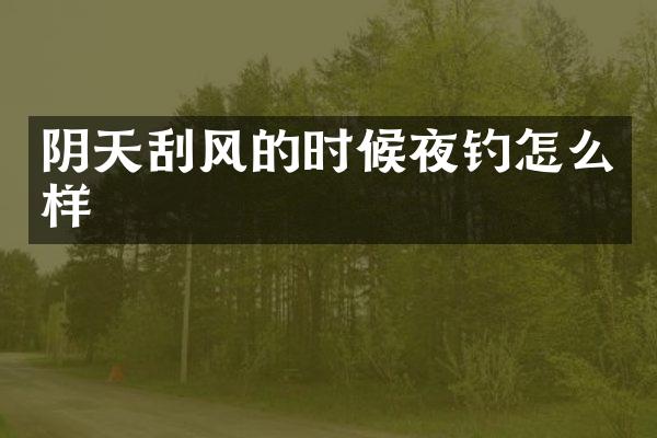 阴天刮风的时候夜钓怎么样